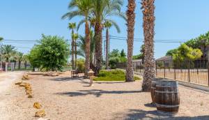 Resale - Finca / Country Property - Catral