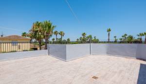 Resale - Finca / Country Property - Catral