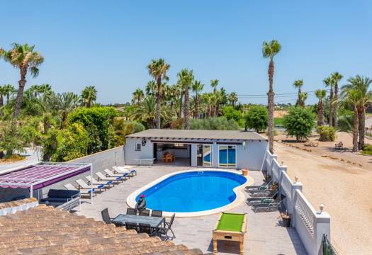 Resale - Finca / Country Property - Catral