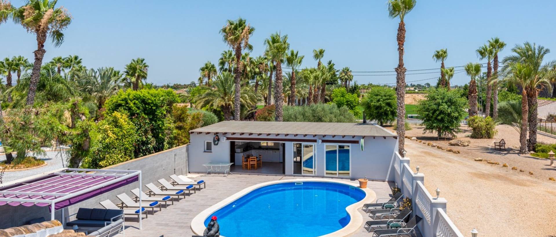 Resale - Finca / Country Property - Catral