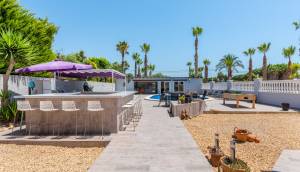 Resale - Finca / Country Property - Catral