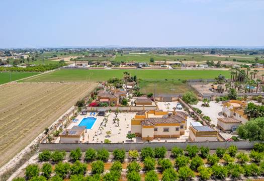 Reventa - Finca / Casa de Campo - Catral