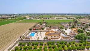 Reventa - Finca / Casa de Campo - Catral