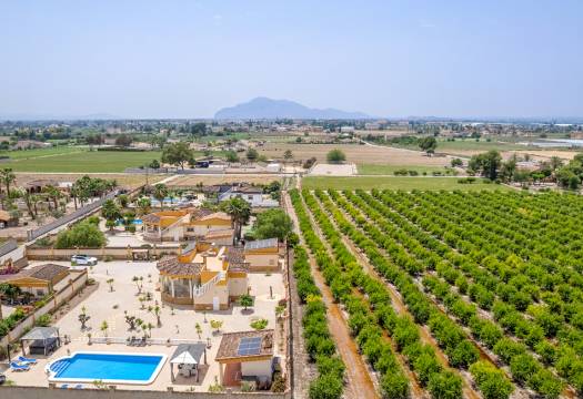 Reventa - Finca / Casa de Campo - Catral