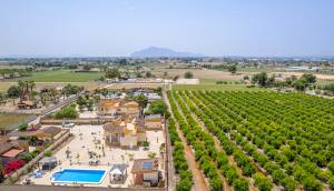 Reventa - Finca / Casa de Campo - Catral