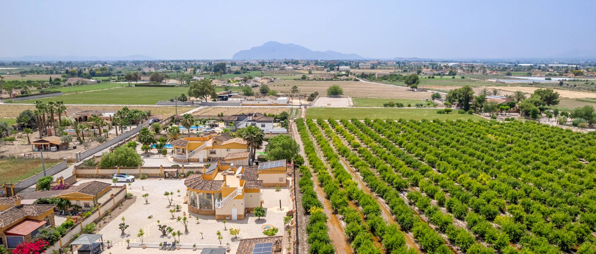 Reventa - Finca / Casa de Campo - Catral