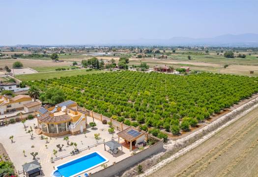 Reventa - Finca / Casa de Campo - Catral