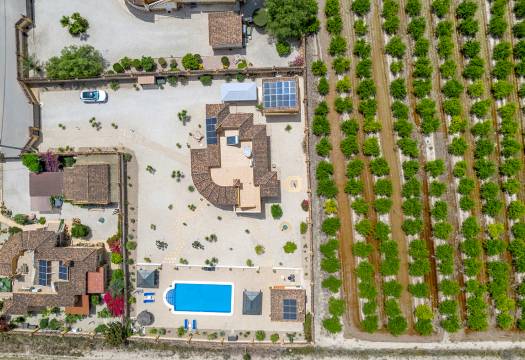 Reventa - Finca / Casa de Campo - Catral