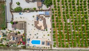 Reventa - Finca / Casa de Campo - Catral
