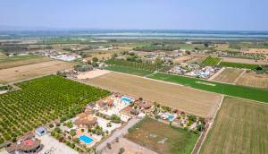 Reventa - Finca / Casa de Campo - Catral