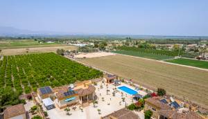Reventa - Finca / Casa de Campo - Catral
