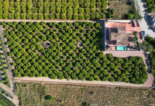 Reventa - Finca / Casa de Campo - Orihuela