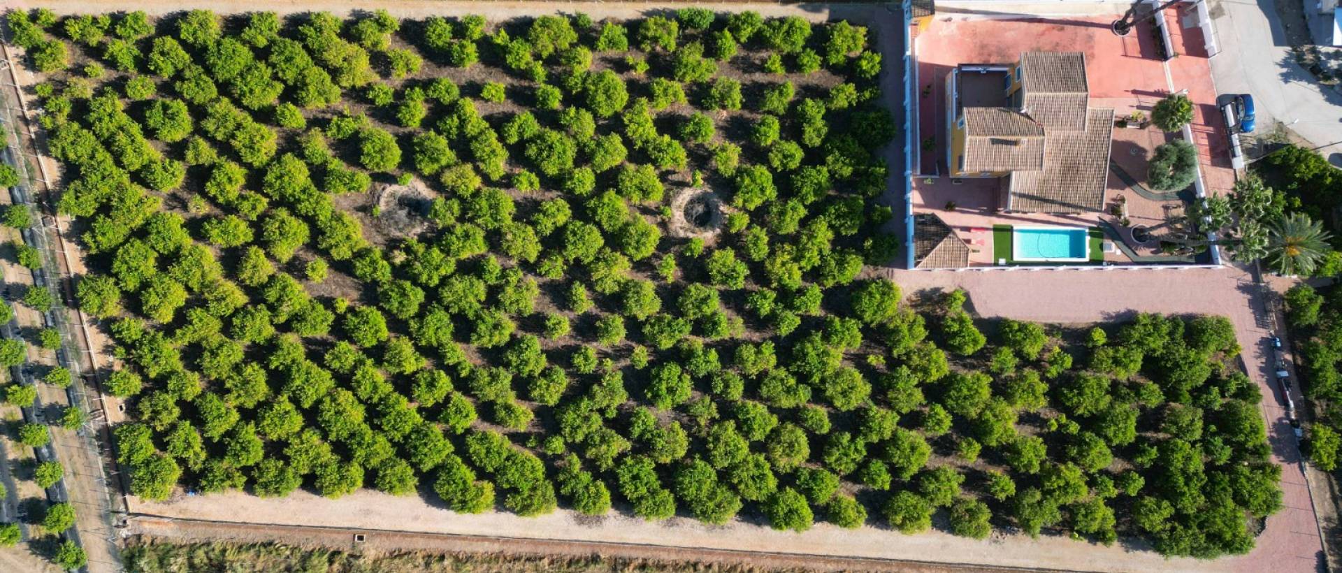 Reventa - Finca / Casa de Campo - Orihuela