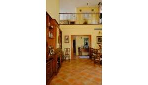Reventa - Finca / Casa de Campo - Orihuela