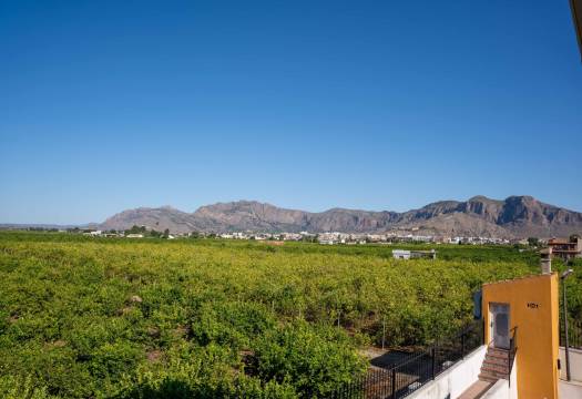 Reventa - Finca / Casa de Campo - Orihuela