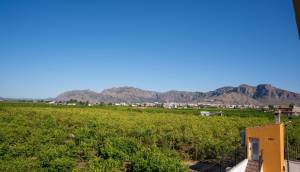 Reventa - Finca / Casa de Campo - Orihuela