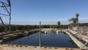 Resale - Finca / Country Property - Rojales