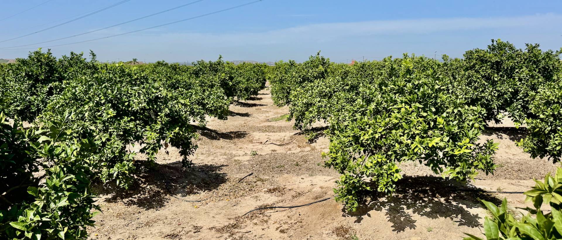 Resale - Finca / Country Property - Rojales