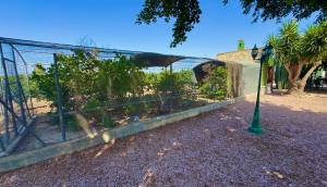 Resale - Finca / Country Property - Rojales