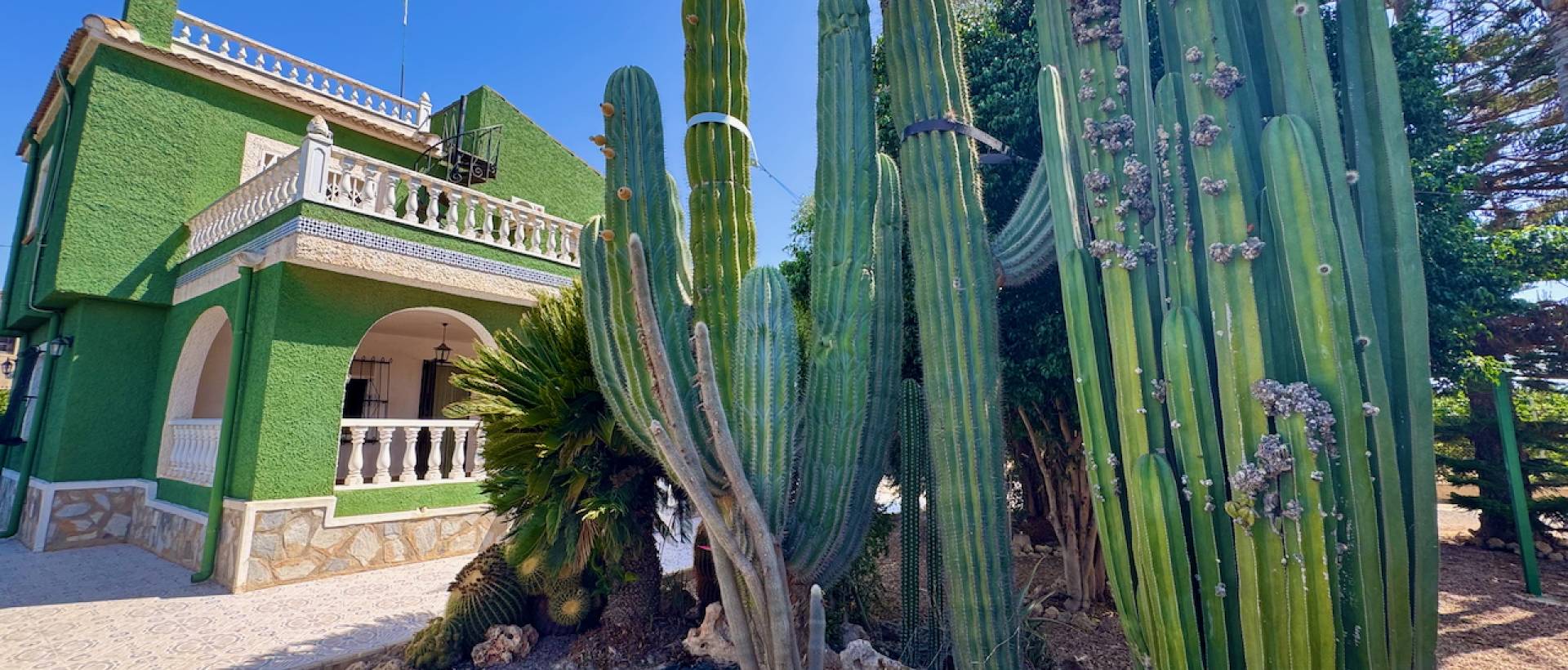 Resale - Finca / Country Property - Rojales