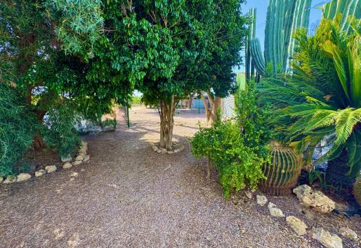 Resale - Finca / Country Property - Rojales