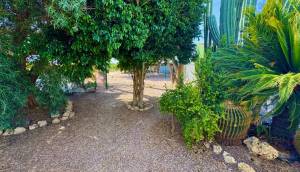 Resale - Finca / Country Property - Rojales