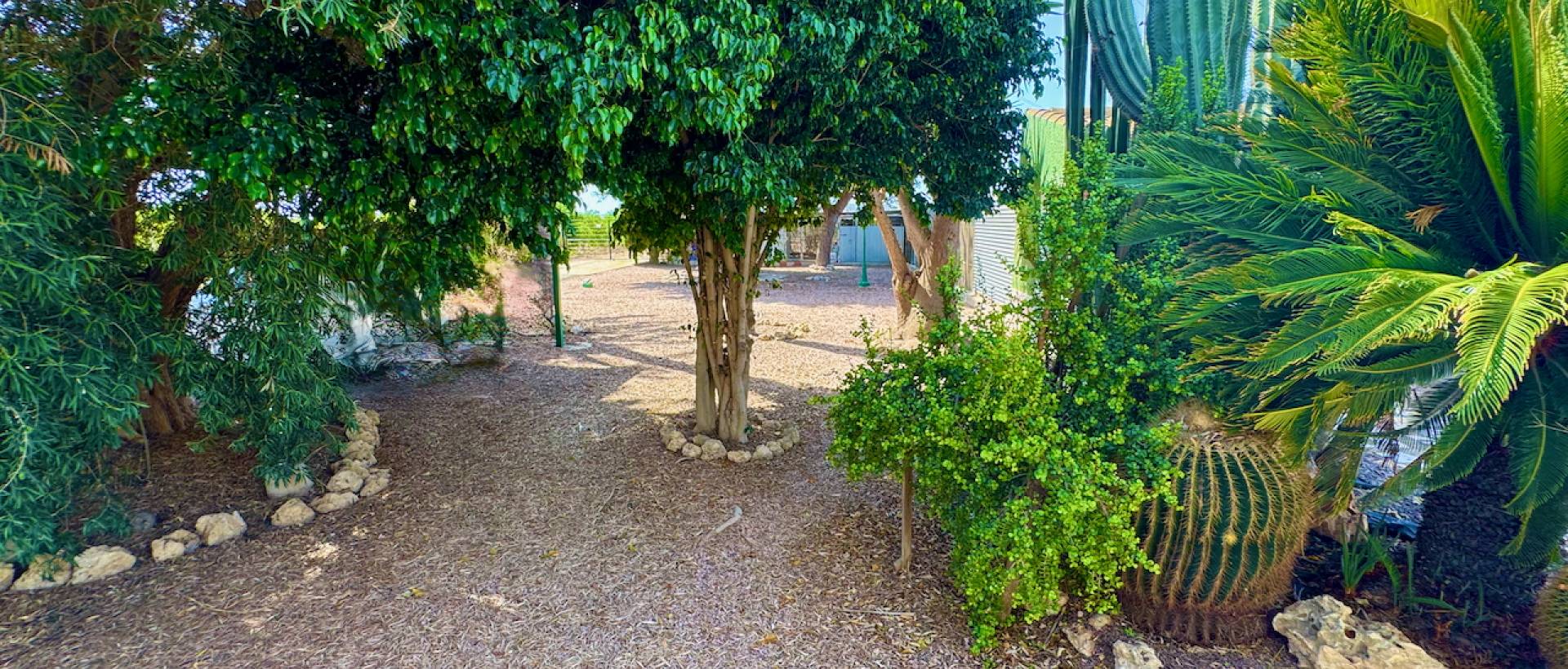 Resale - Finca / Country Property - Rojales