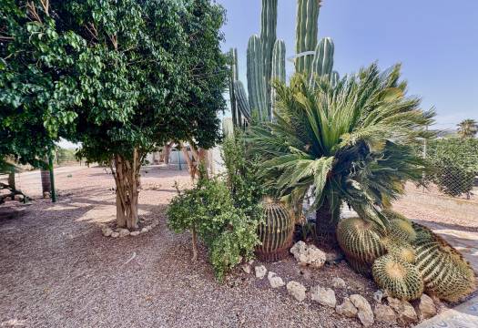 Resale - Finca / Country Property - Rojales