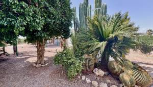 Resale - Finca / Country Property - Rojales