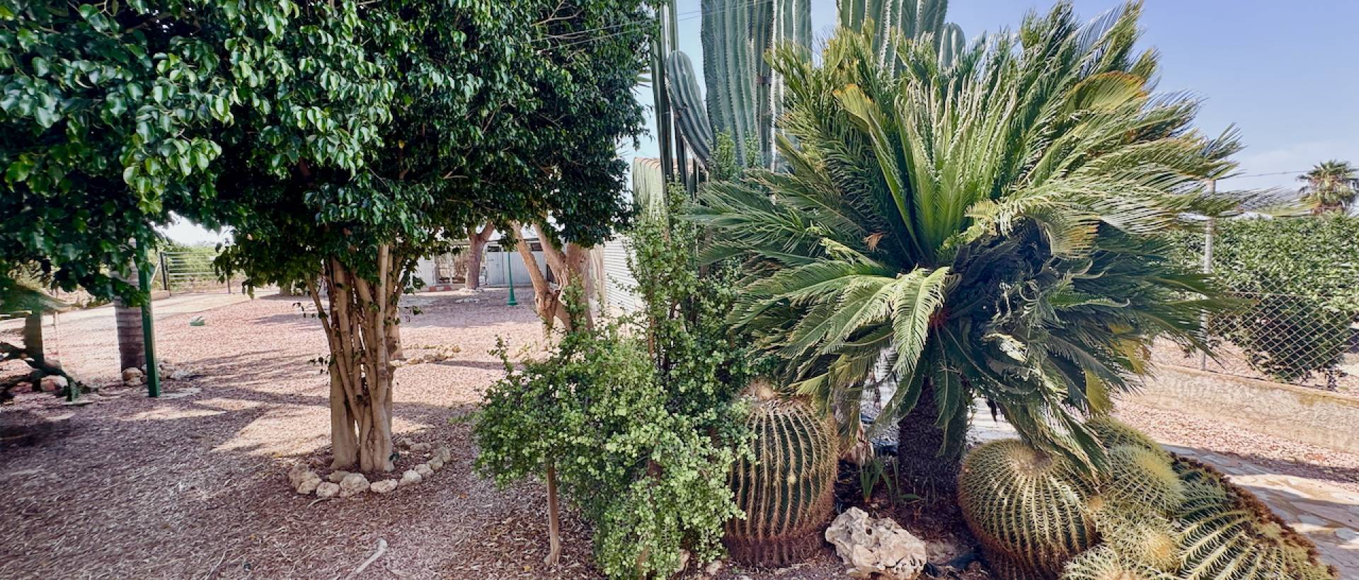 Resale - Finca / Country Property - Rojales