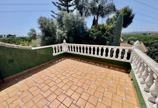 Resale - Finca / Country Property - Rojales