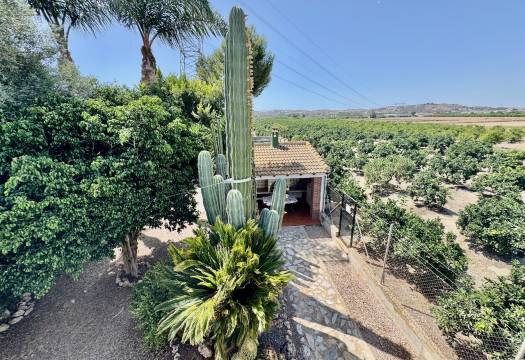 Resale - Finca / Country Property - Rojales