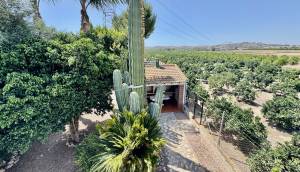 Resale - Finca / Country Property - Rojales