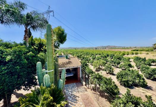Resale - Finca / Country Property - Rojales