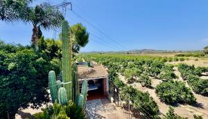 Resale - Finca / Country Property - Rojales