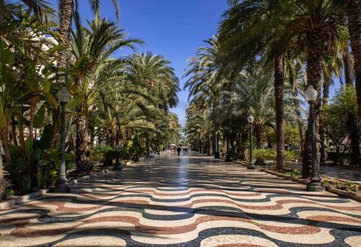 Obra Nueva - Apartmento - Alicante - Centro