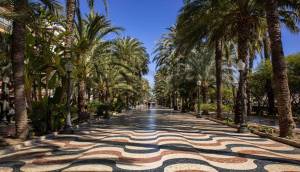 Obra Nueva - Apartmento - Alicante - Centro