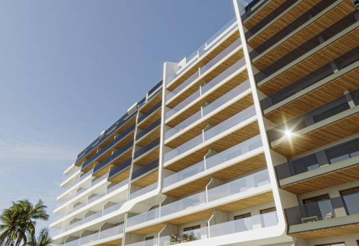 Obra Nueva - Apartmento - Torrevieja - Punta Prima