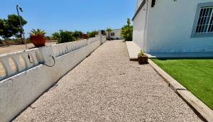 Reventa - Finca / Casa de Campo - Torrellano