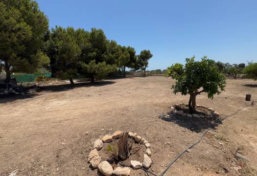 Reventa - Finca / Casa de Campo - Torrellano