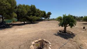 Reventa - Finca / Casa de Campo - Torrellano