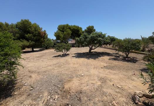Reventa - Finca / Casa de Campo - Torrellano