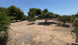 Reventa - Finca / Casa de Campo - Torrellano