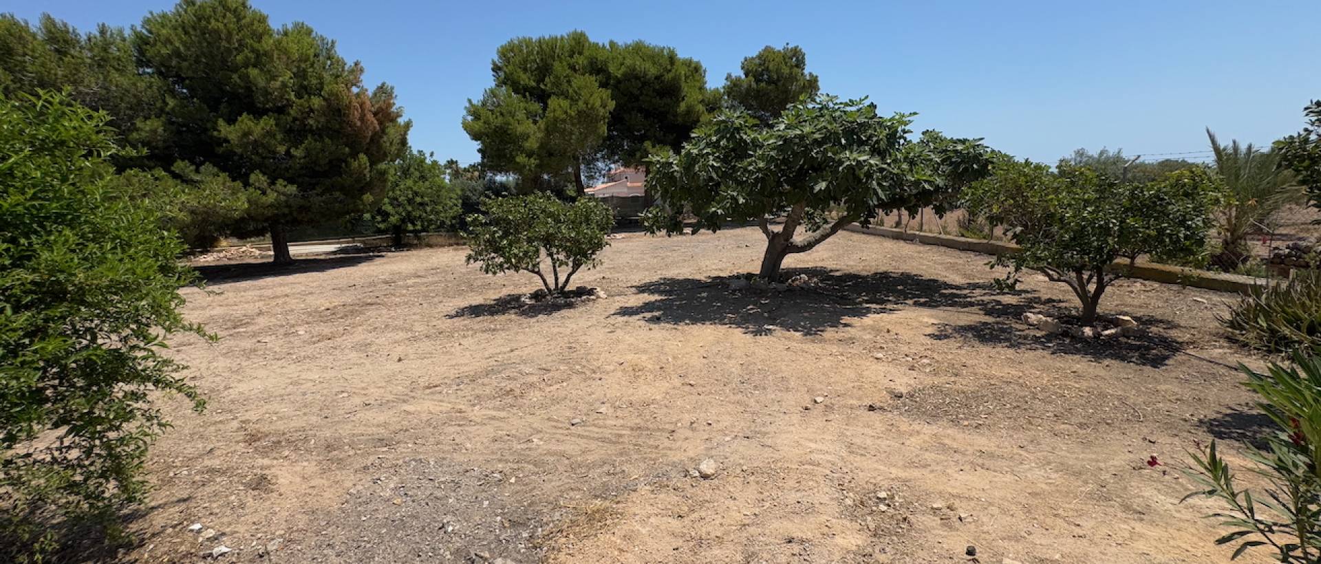 Reventa - Finca / Casa de Campo - Torrellano