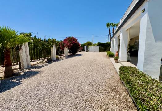 Reventa - Finca / Casa de Campo - Torrellano