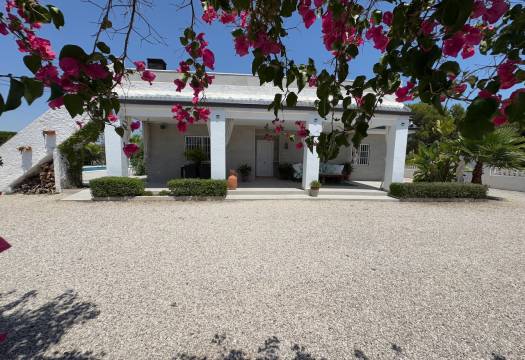 Reventa - Finca / Casa de Campo - Torrellano