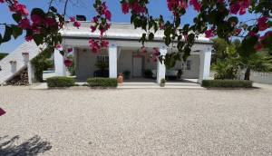 Reventa - Finca / Casa de Campo - Torrellano