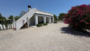 Reventa - Finca / Casa de Campo - Torrellano
