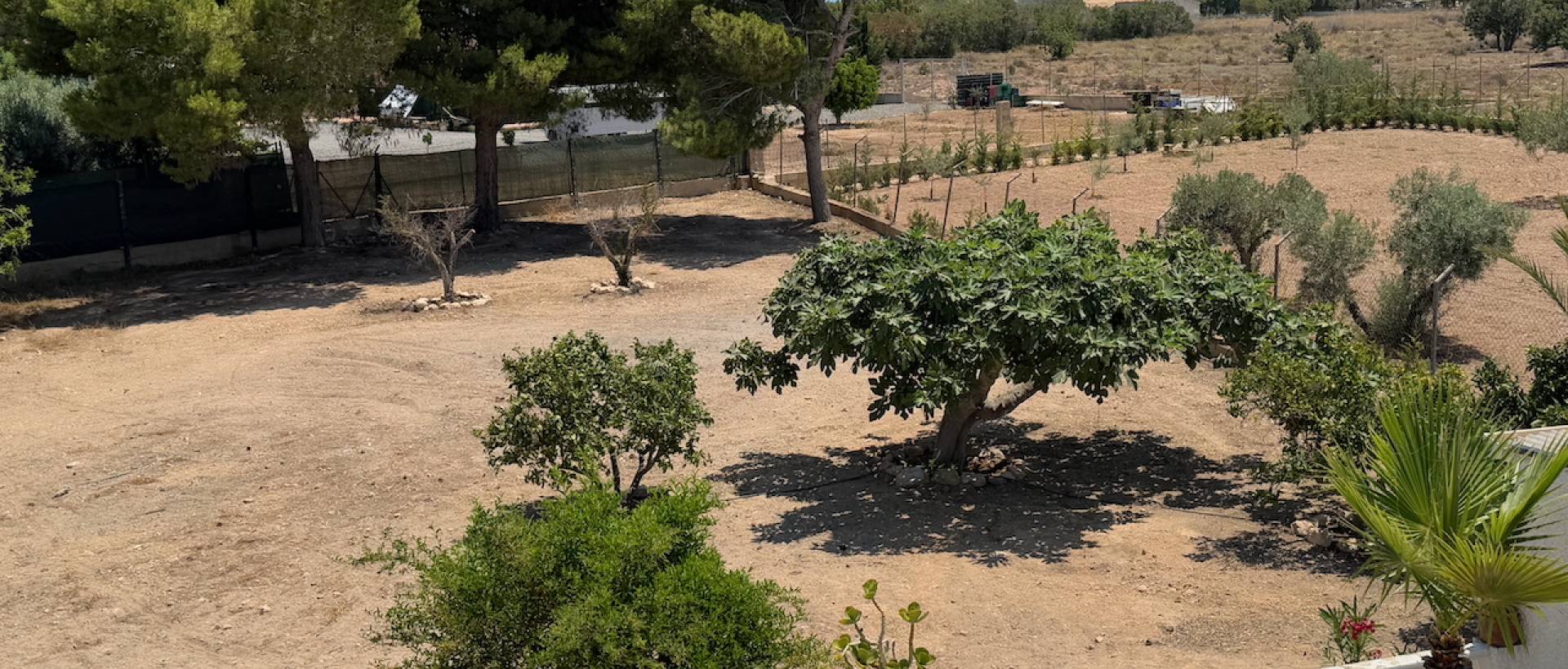 Reventa - Finca / Casa de Campo - Torrellano