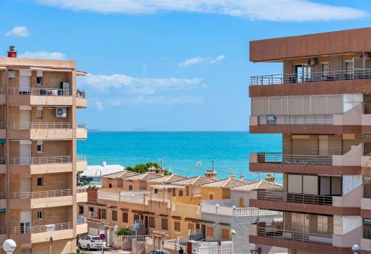 Reventa - Apartmento - Guardamar del Segura